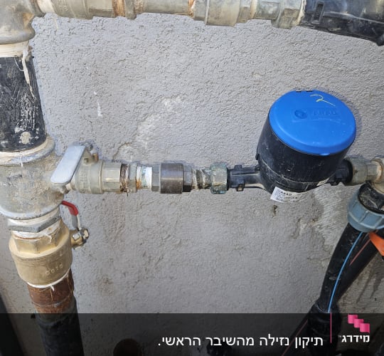 שיבר